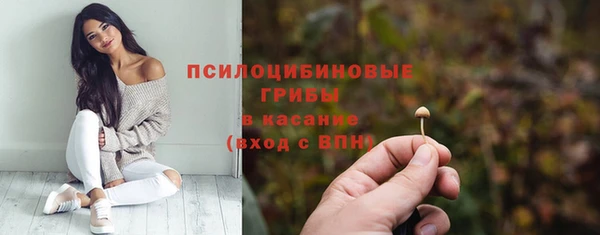 прущая мука Саяногорск