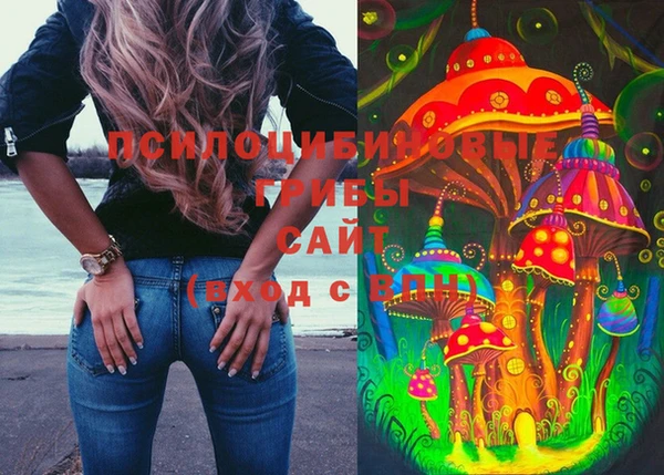 метадон Сафоново